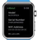 Apple Watch Serial Number