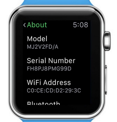 Apple Watch Serial