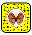 Unlock The Butterflies Lens On Snapchat