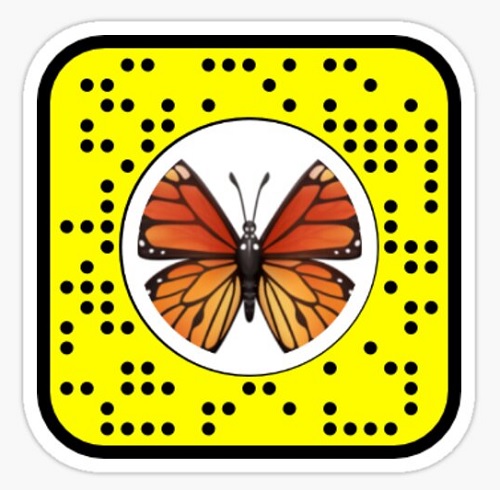 Unlock The Butterflies Lens On Snapchat