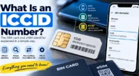 What Is an ICCID Number showing a SIM card ICCID and phone SIM information